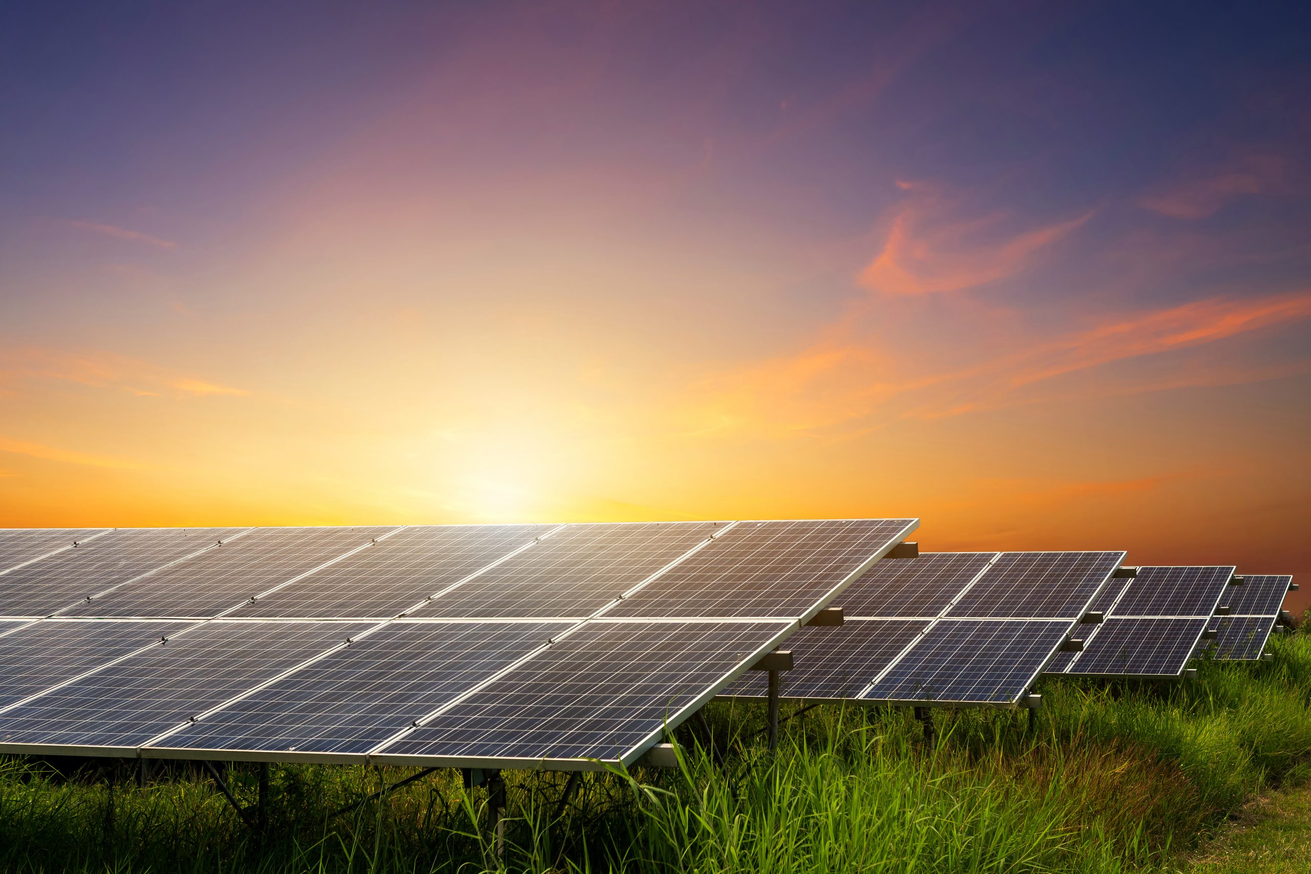 PS Renewables welcomes Solar Energy UK’s manifesto for a brighter future