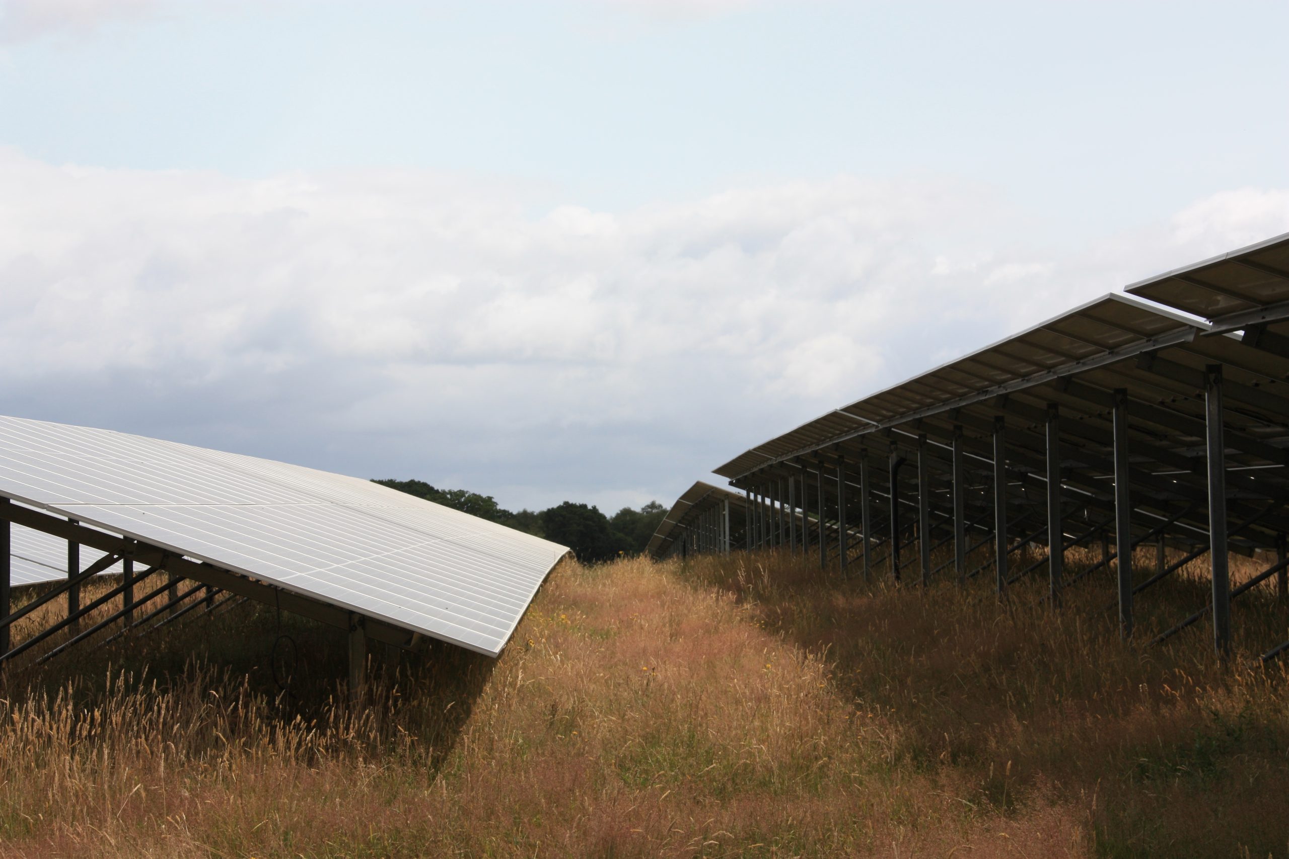 PS Renewables and Ørsted launch new solar farm that could power more than 200,000 homes annually