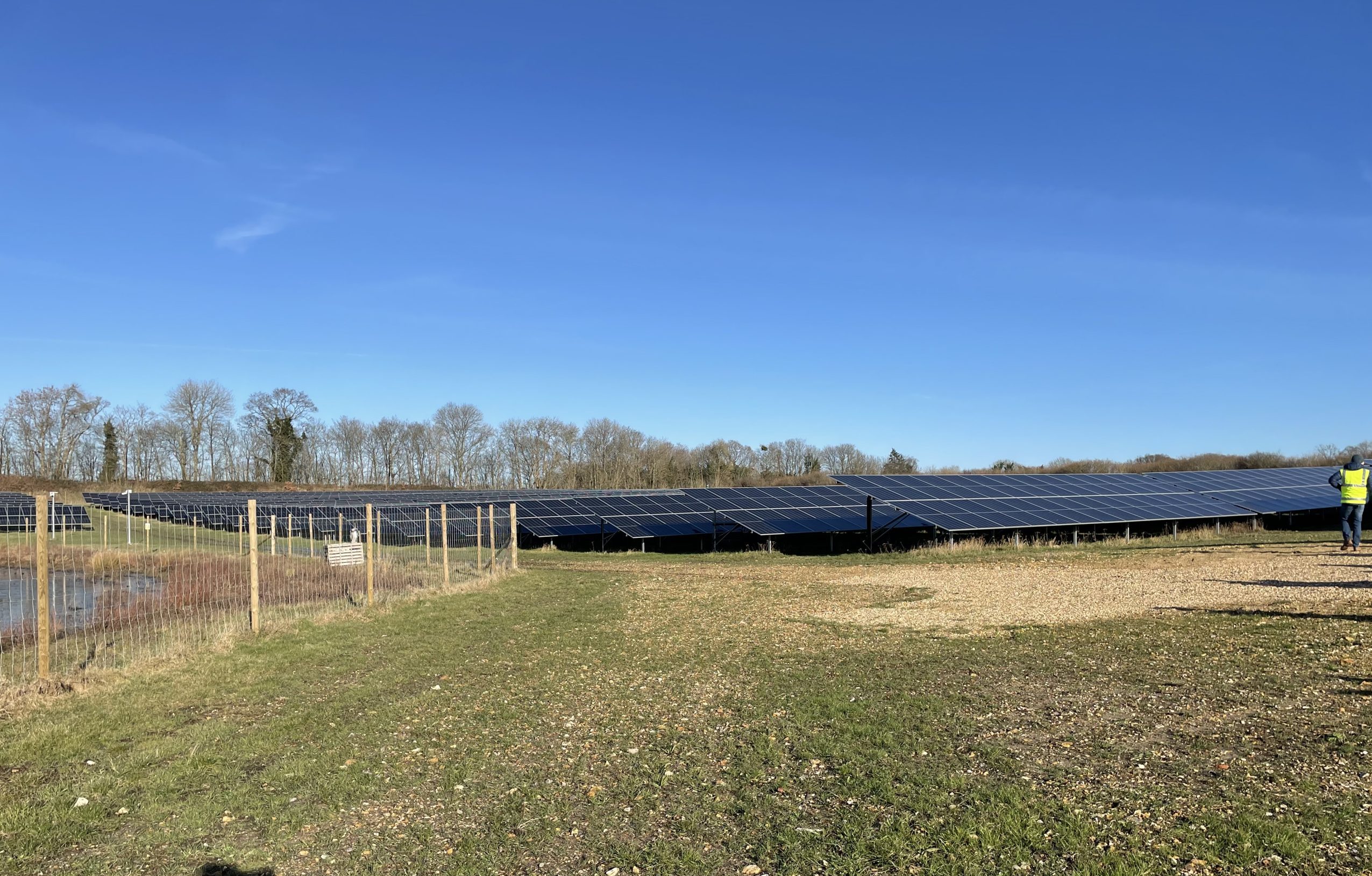 Hamer Warren Solar Farm, sited within the New Forest in Dorset.