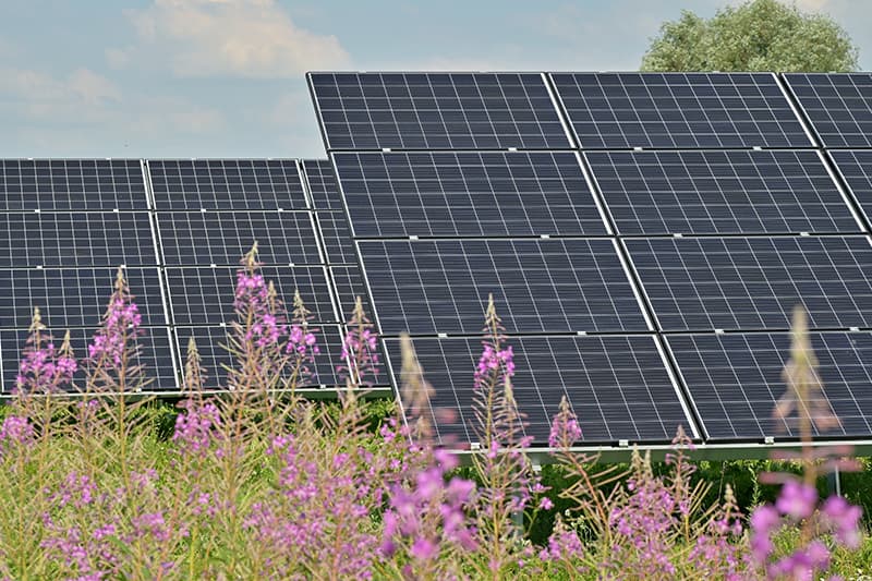 Rosefield Solar Farm reaches significant milestone in DCO process