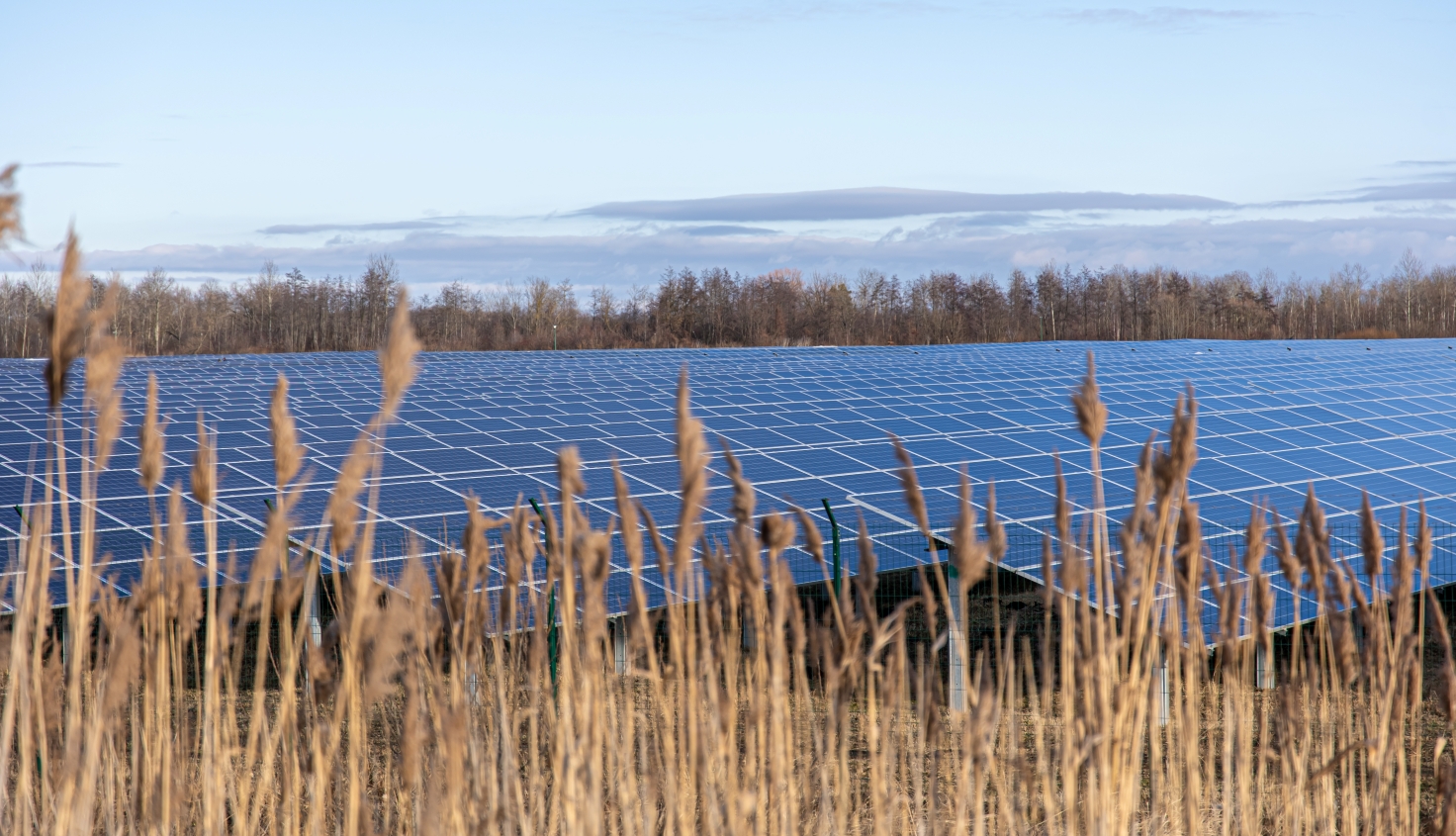 Solar farm that could power 160,000 homes proposed for East Yorkshire